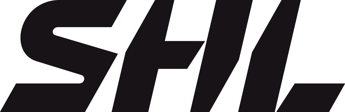 swedish hockey league 2013-pres primary logo iron on transfers for clothing